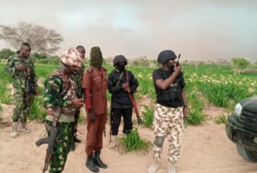 TROOPS OF OPERATION HADARIN DAJI NEUTRALIZES SCORES, RESCUE KIDNAPPED VICTIMS AND RECOVER RUSTLED LIVESTOCK IN SOKOTO AND ZAMFARA STATES